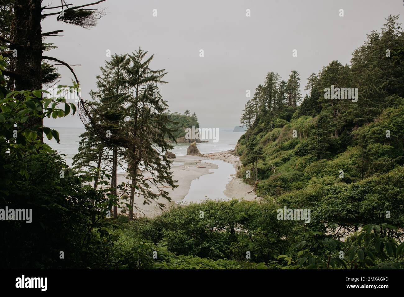 Ruby Beach im Olympic National Park, Washington Stockfoto