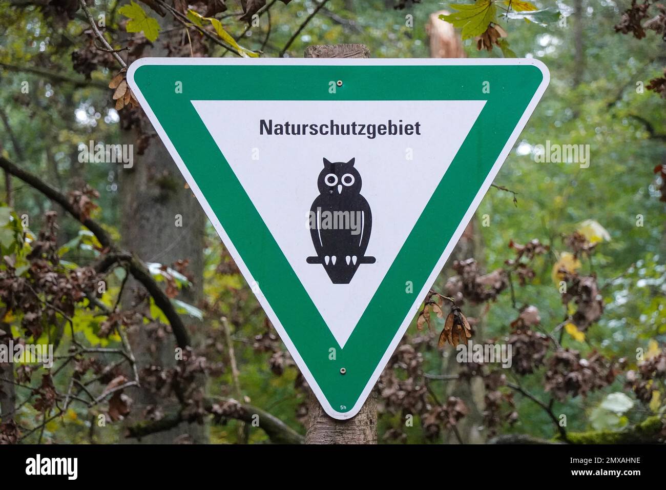 Schild Naturschutzgebiet, Wald, Spandauer Forst, Hakenfelde, Spandau, Berlin, Deutschland Stockfoto