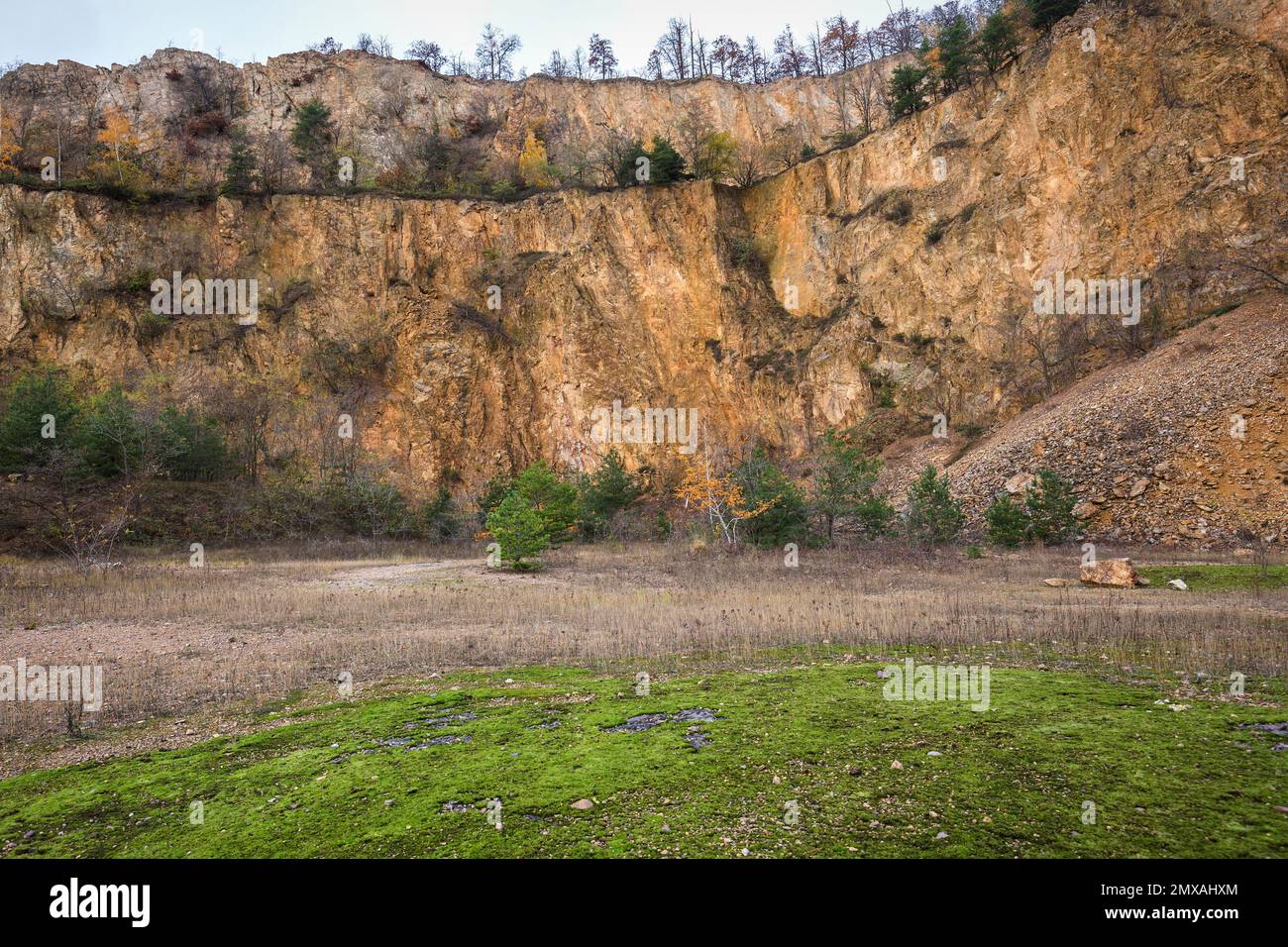 Stillgelegter Porphyrie-Steinbruch, Dossenheim, Baden-Württemberg, Deutschland Stockfoto