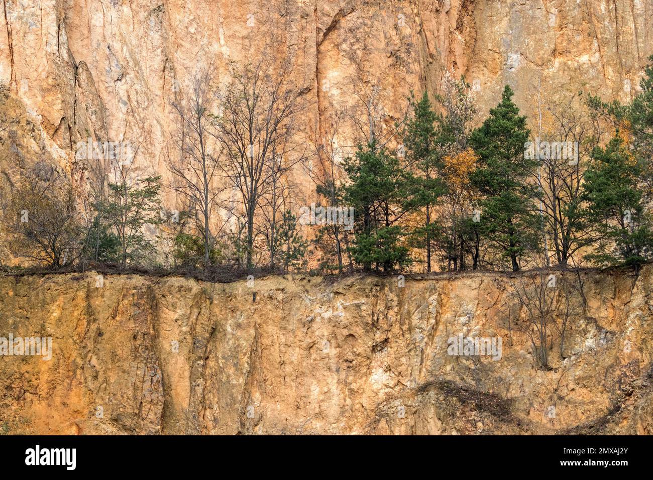 Stillgelegter Porphyrie-Steinbruch, Dossenheim, Baden-Württemberg, Deutschland Stockfoto