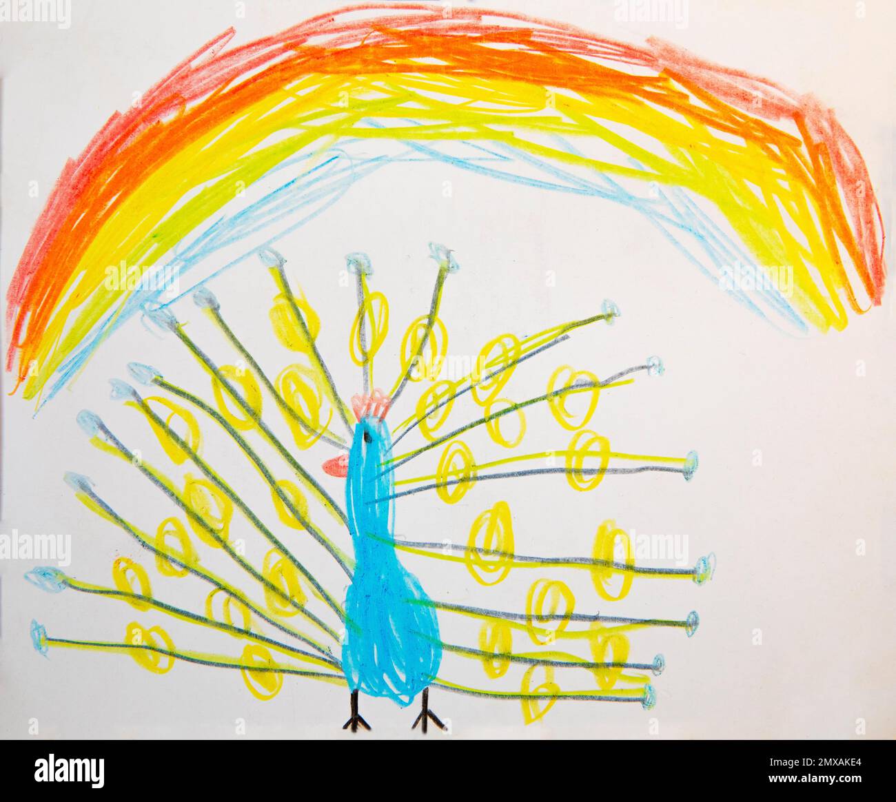 Illustration, Kinderzeichnung, stolzer Pfau steht im Regenbogen Stockfoto
