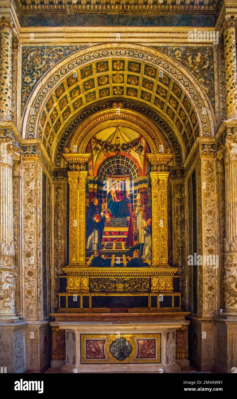Centrego-Altar, gewidmet dem Dominikanischen Thomas Aquinas, von Girolamo dai Libri, 1488-1502, Basilica di Sant' Anastasia, c. 1290, Italienisch-gotisch Stockfoto