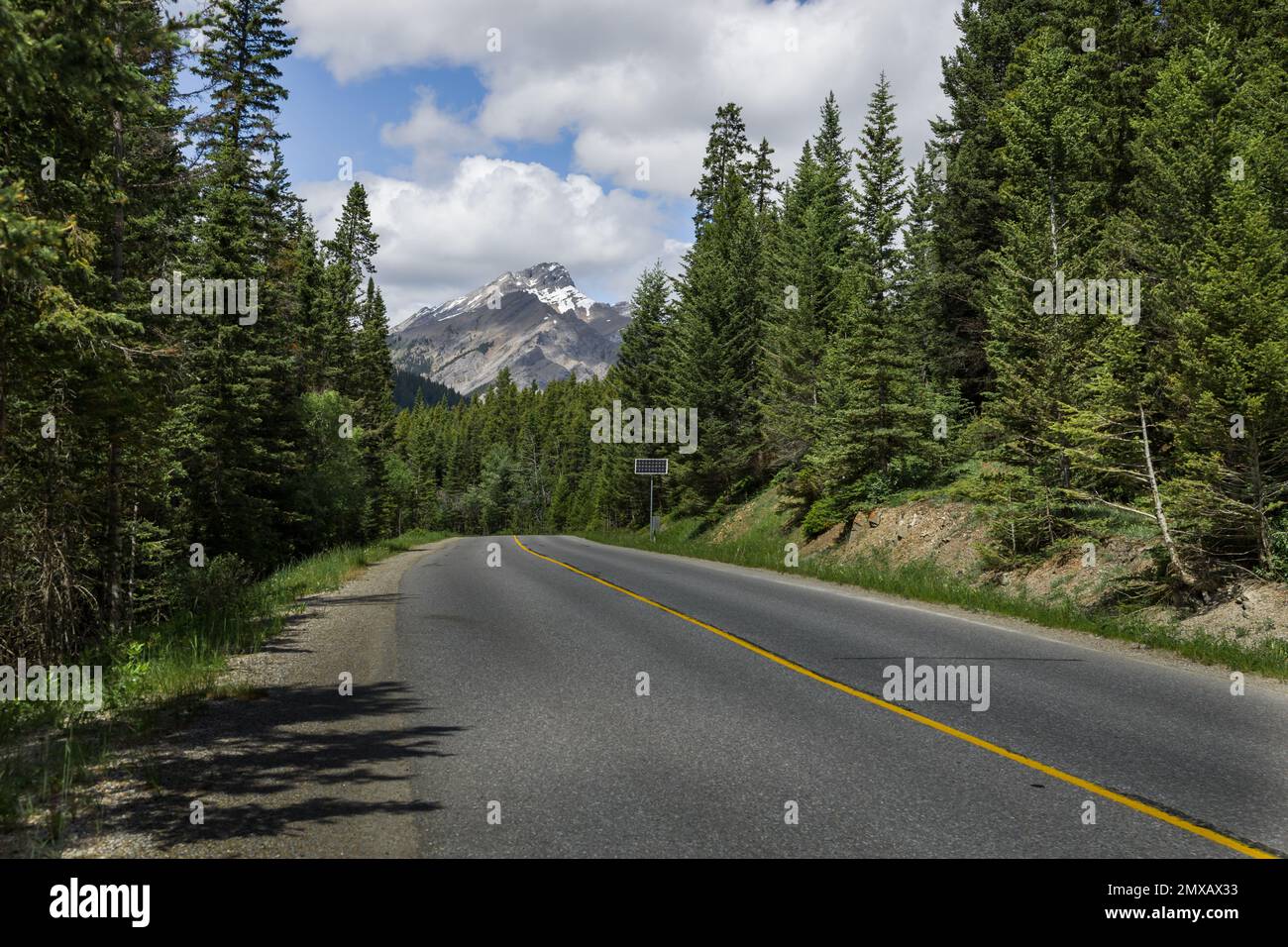 Gekrümmte, leere Landstraße durch Wälder und grüne Berge im Sommer. Asphaltstraßen und Berge unter dem blauen Himmel. Stockfoto