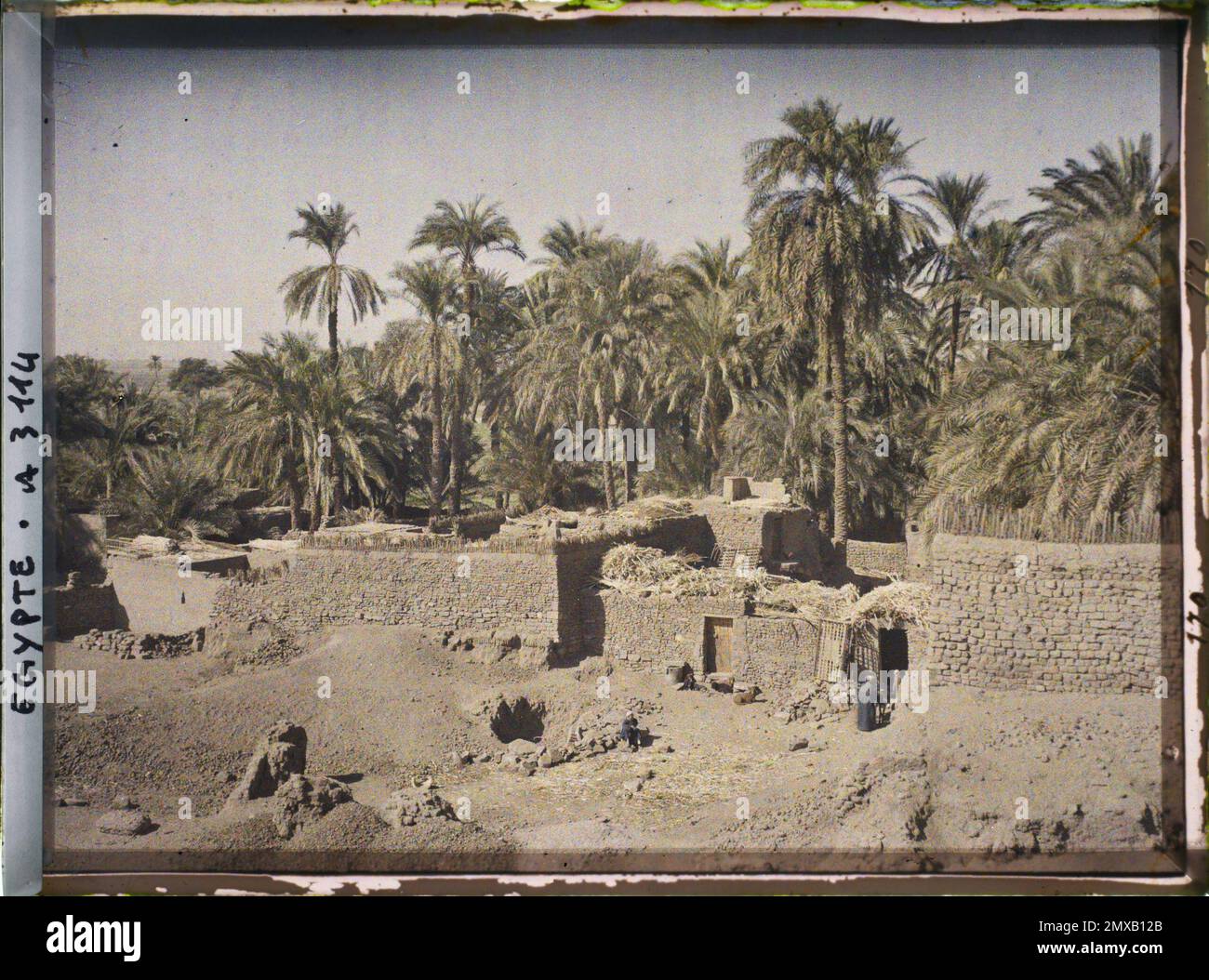 Luxor, Ägypten, Afrika das Dorf vor dem Palmenhain , 1914 - Ägypten - Auguste Léon - (Januar - Februar) Stockfoto