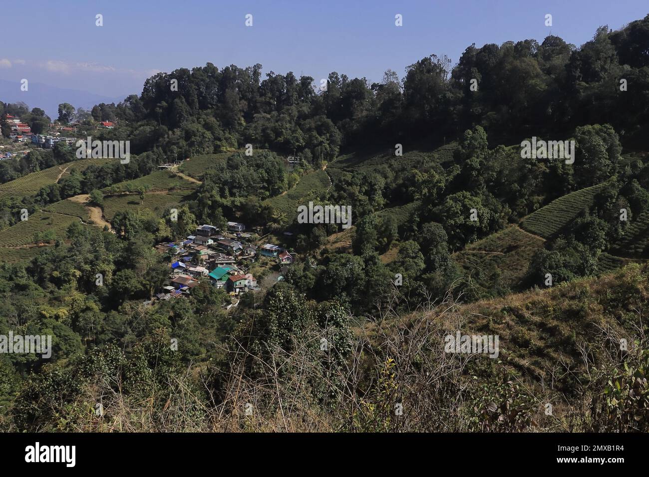 Bergdorf und Terrassenzucht an den Hängen der ausläufer des himalaya in der Nähe der darjeeling Hill Station in westbengalen, indien Stockfoto