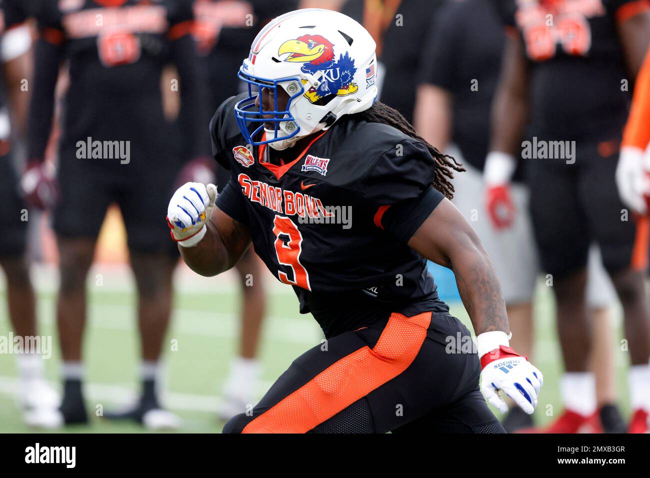 National defensive lineman Lonnie Phelps Jr of Kansas runs drills during practice for the Senior