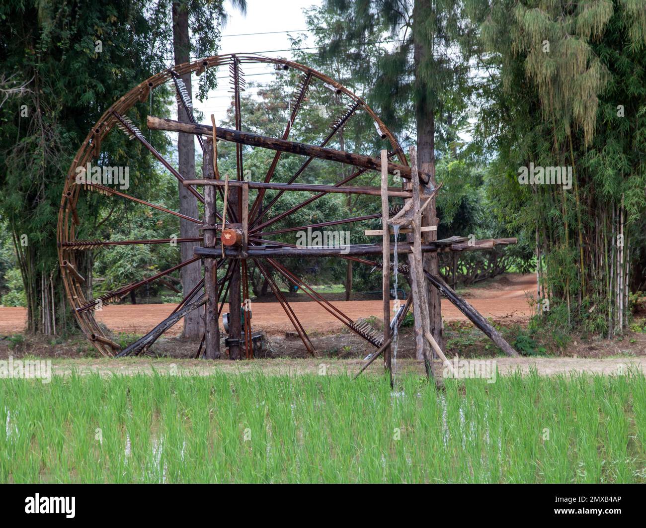 Altes Bewässerungssystem auf einem Reisfeld Stockfoto