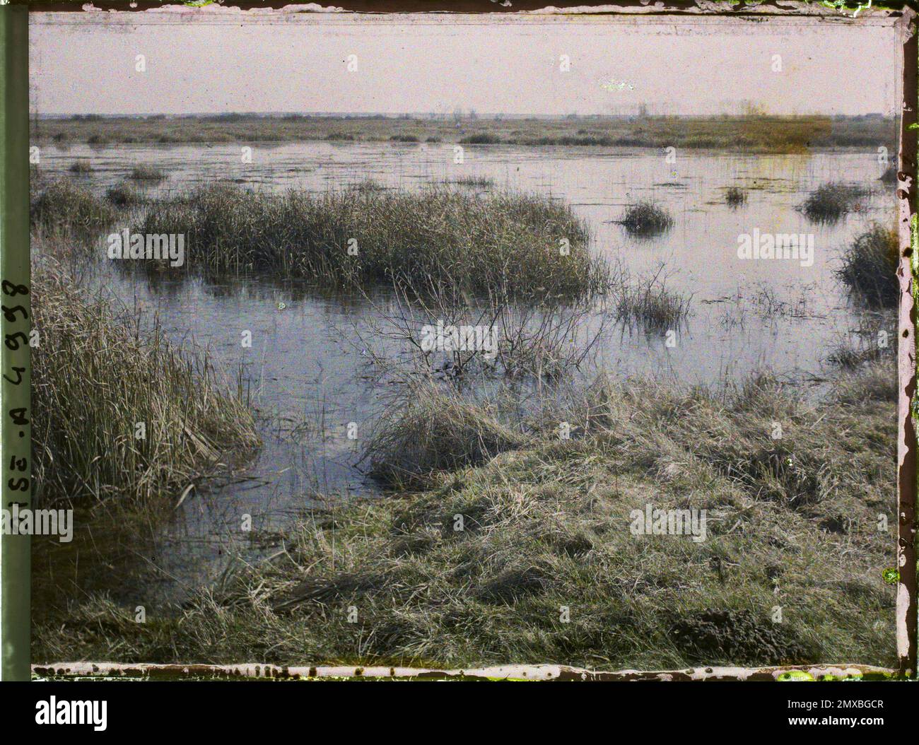 Saint-Gond, Marne, Frankreich Les Marais de Saint-Gond , 1914-1915 - verwüstete Gebiete, Nord- und Ostfrankreich - Jean Brunhes, Auguste Léon und Georges Chevalier - (Dezember 1914 - April 1915) Stockfoto