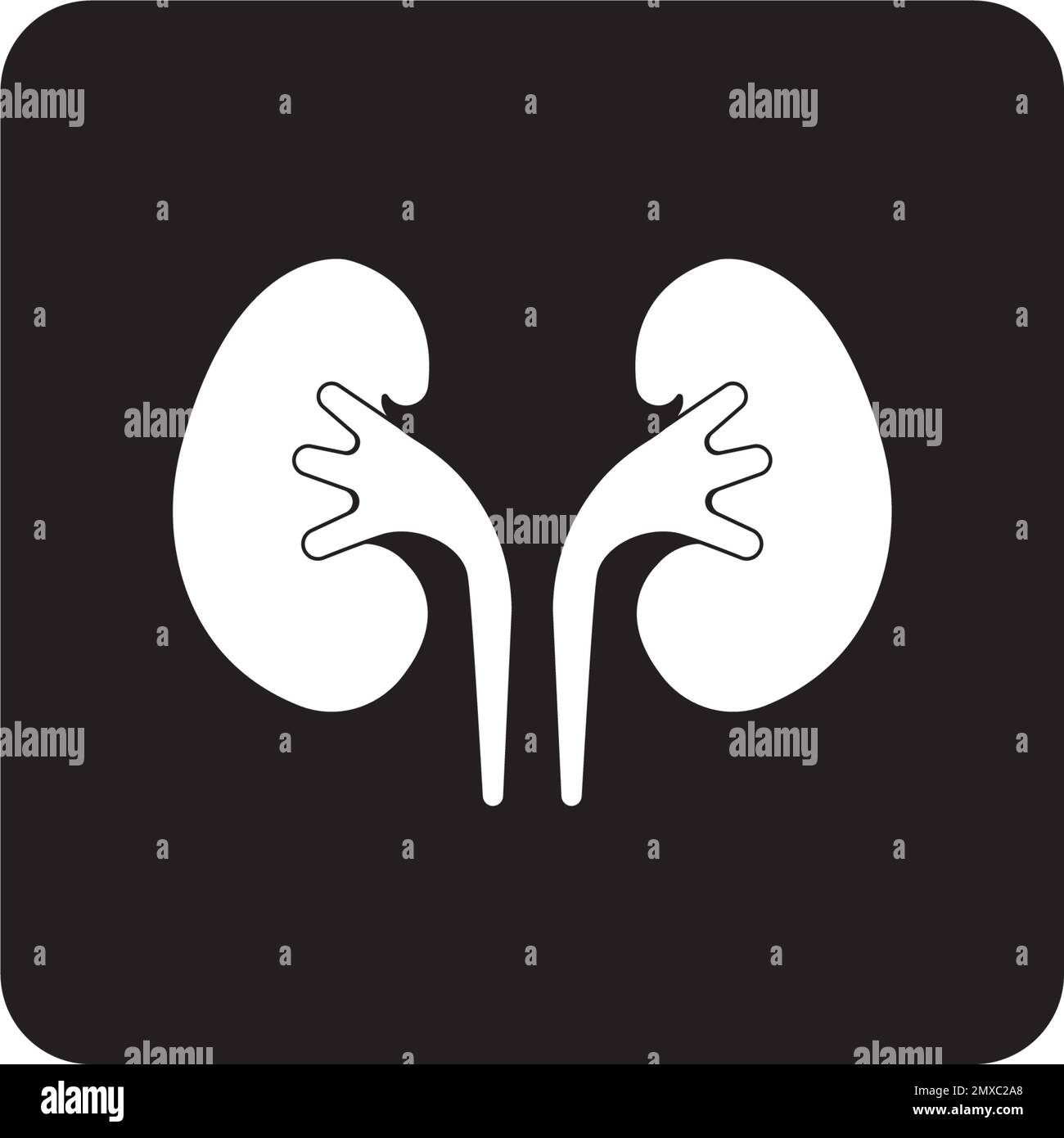 Vektor des Nierensymbols. Designvorlage für das Logo der Urologie. Stock Vektor