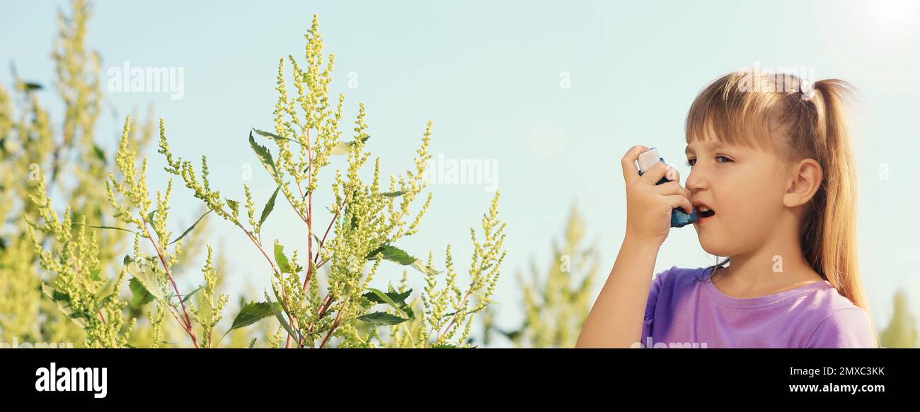 Kleines Mädchen mit Inhalator, das an einer Ragweed-Allergie im Freien leidet, Platz für Text. Bannerdesign Stockfoto