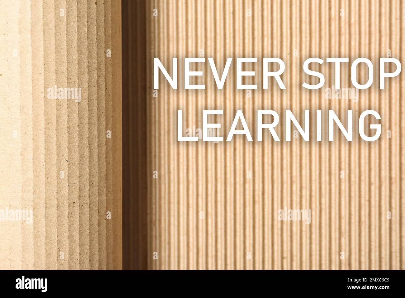 Der Satz HÖRT NIE AUF, AUF Wellpappe ZU LERNEN, Draufsicht Stockfoto