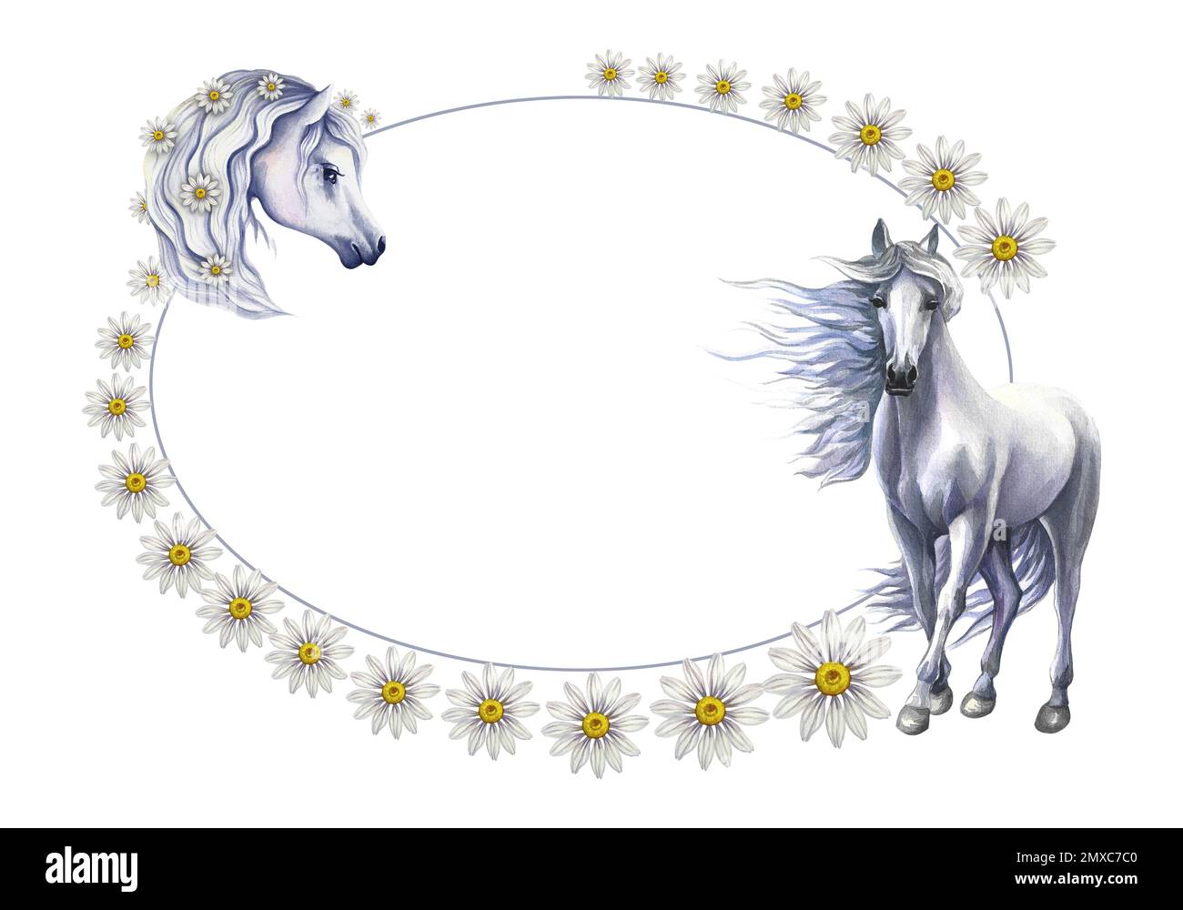 Rahmen für eine Inschrift mit weißen Pferden, dekoriert mit Gänseblümchen. Aquarell, handgefertigt. Zum Drucken, Aufklebern und Etiketten. Für Postkarten, geschäftlich ca. Stockfoto