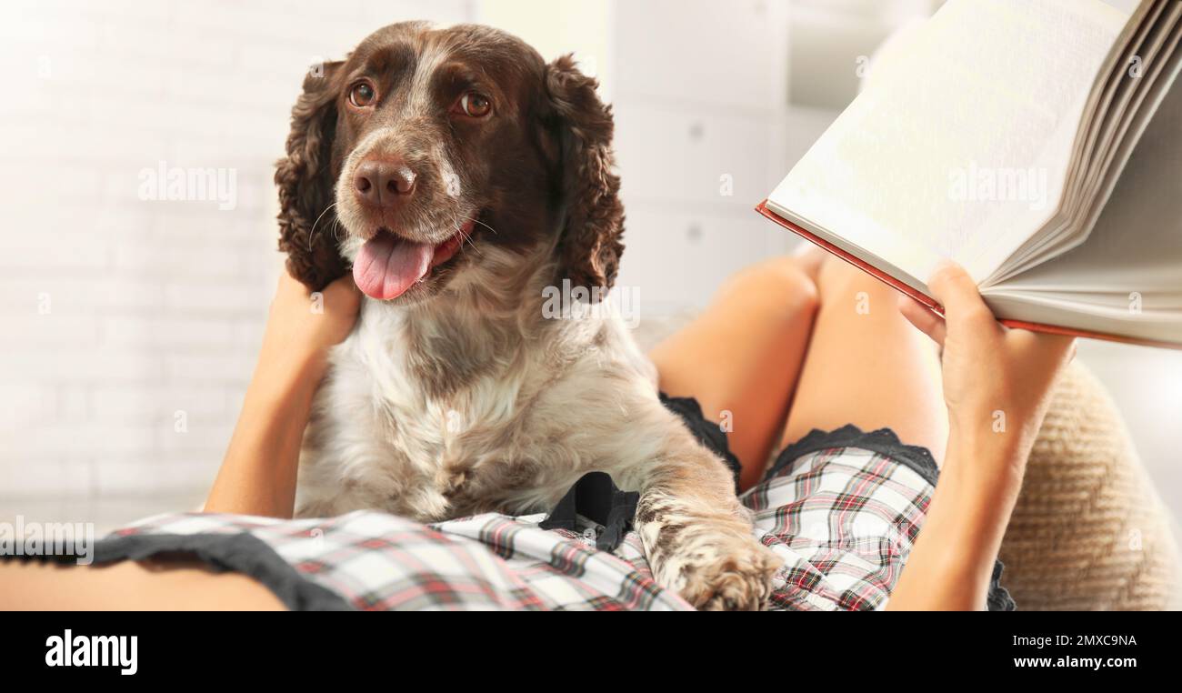 Junge Frau mit ihrem süßen russischen Spaniel-Hund zu Hause, Bannerdesign. Hübsches Haustier Stockfoto