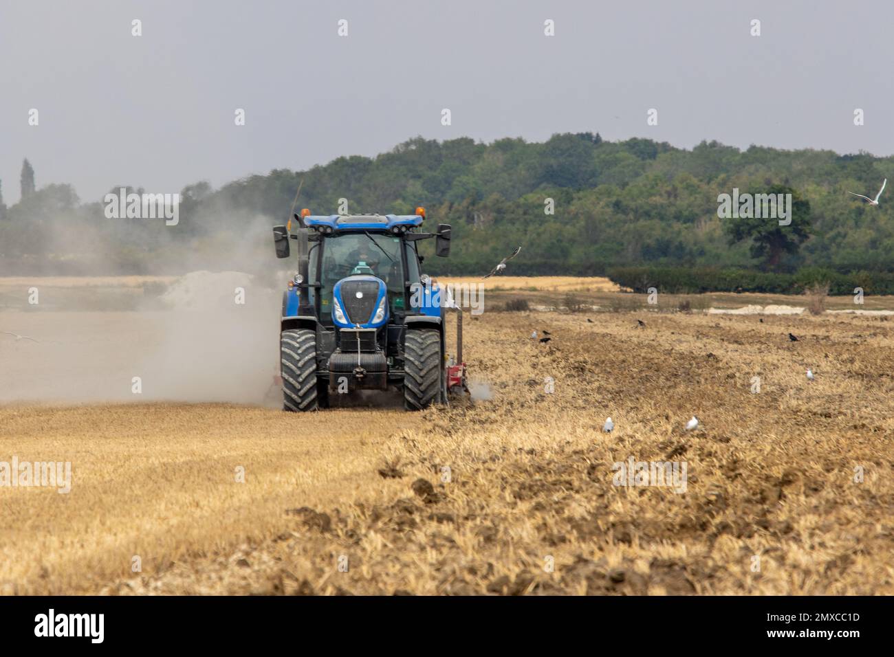 Im ländlichen Suffolk in Parham bewegt sich ein grauenhafter blauer