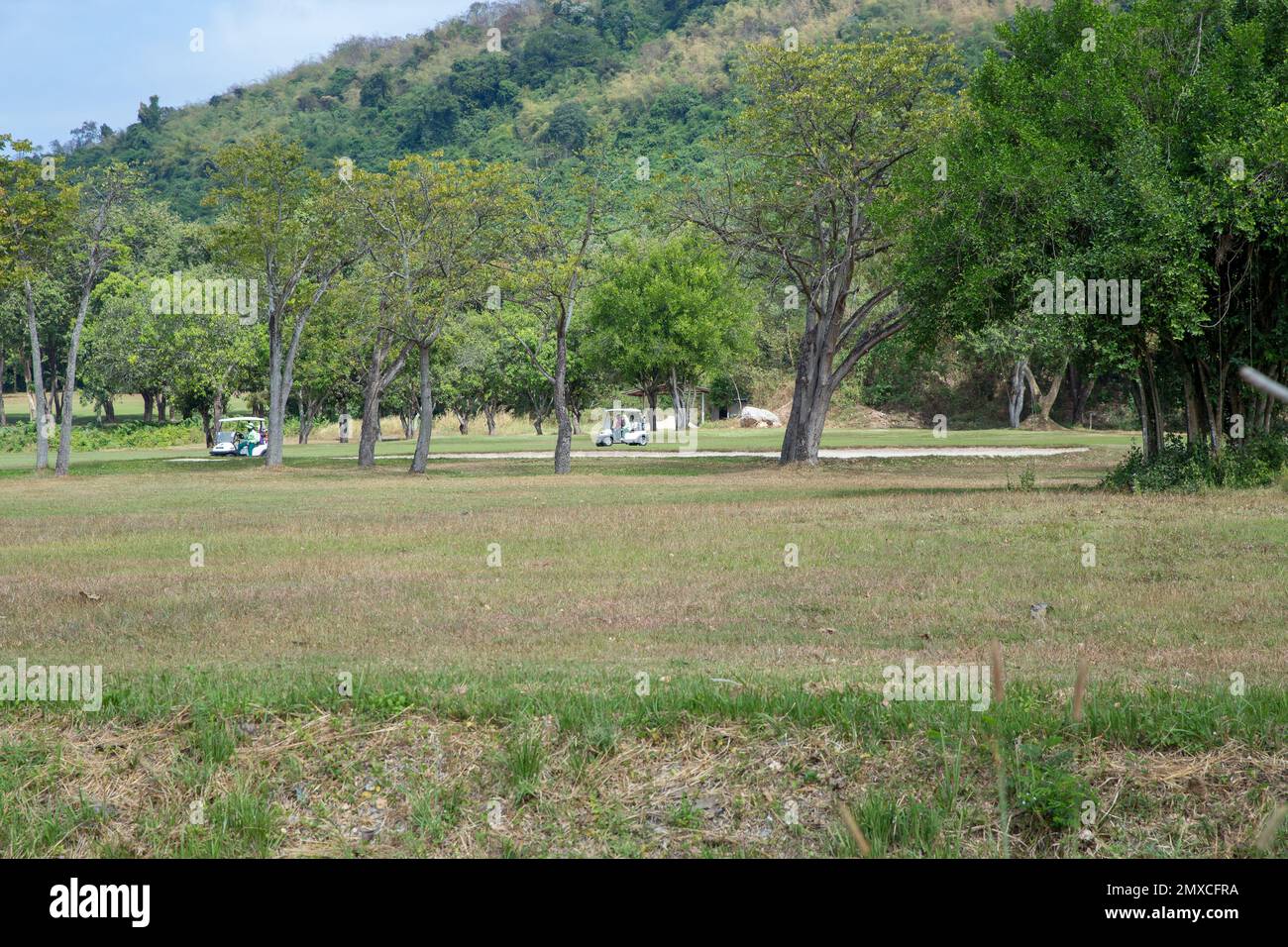 Handyhalterung Für Golfwagen - Mit Sonnenschutz Und Anti-Drop-Sicherung