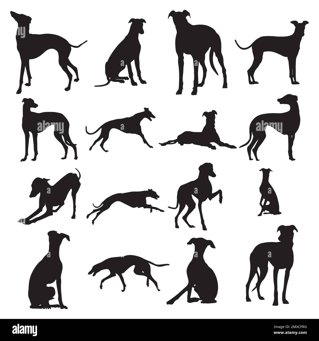 Greyhound-Hunde-Silhouetten, Greyhound-Hunde-Silhouetten-Kollektion Stock Vektor