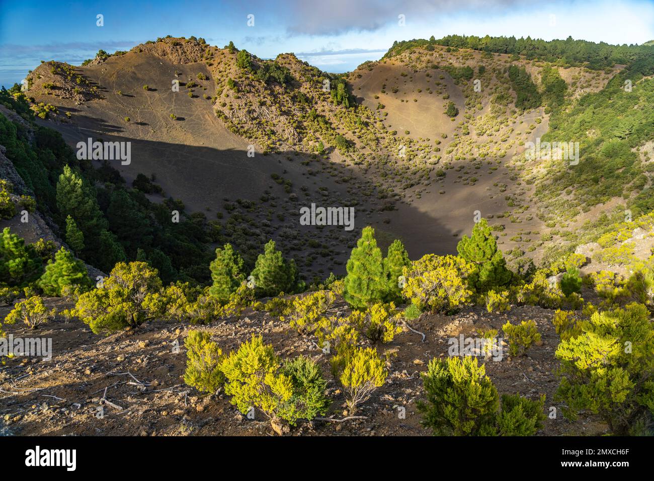 Vulkan Krater Hoya de Fireba, El Hierro, Kanarische Inseln, Spanien | Hoya de Fireba Vulkankrater, El Hierro, Kanarische Inseln, Spanien Stockfoto