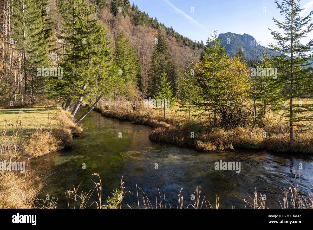 Weidmoos mit Fluss Ammer, Berg Laber im Hintergrund, Deutschland, Bayern, Waidmoos Stockfoto