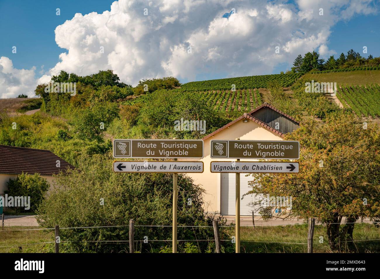 Markierungen für touristische Weinrouten in der Region Cablis im Burgund Stockfoto