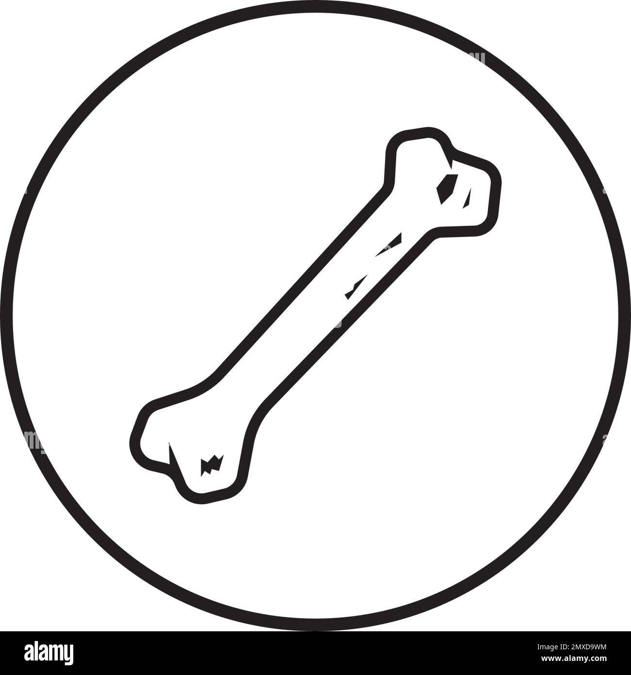 Design und Hintergrund der Vektordarstellung des Knochensymbols. Stock Vektor