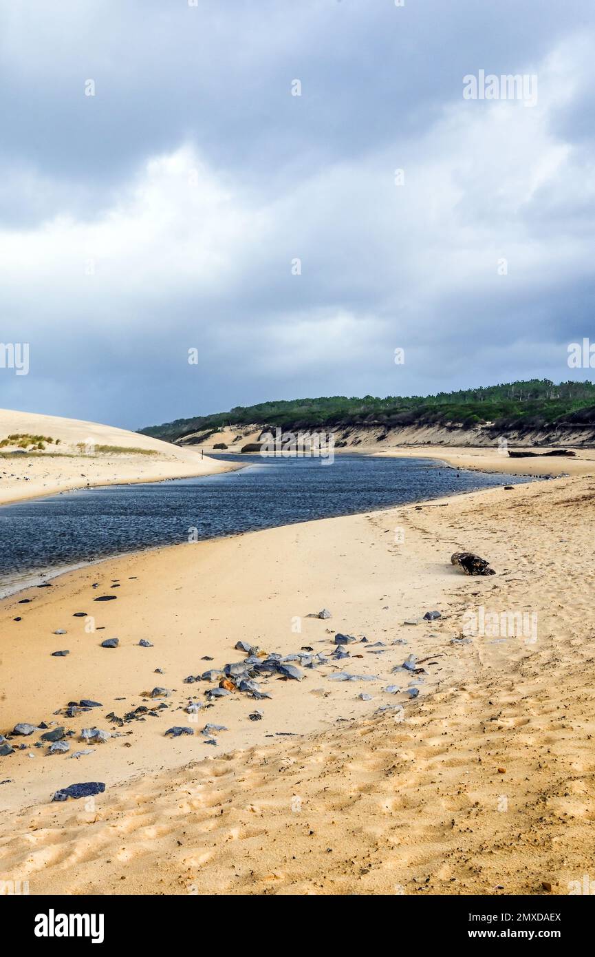 Der Courant d'Huchet ist ein kleiner Küstenstrom, der den See Léon mit dem Atlantik im französischen Departement Landes verbindet Stockfoto