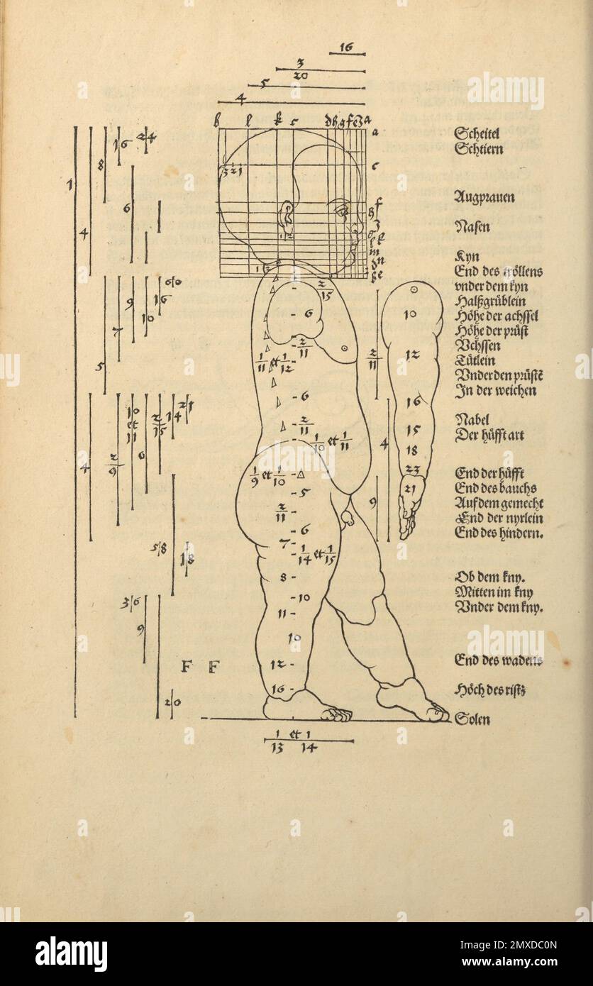 Illustration aus den vier Büchern über menschliche Proportionen. Museum: PRIVATE SAMMLUNG. Autor: Albrecht Dürer. Stockfoto