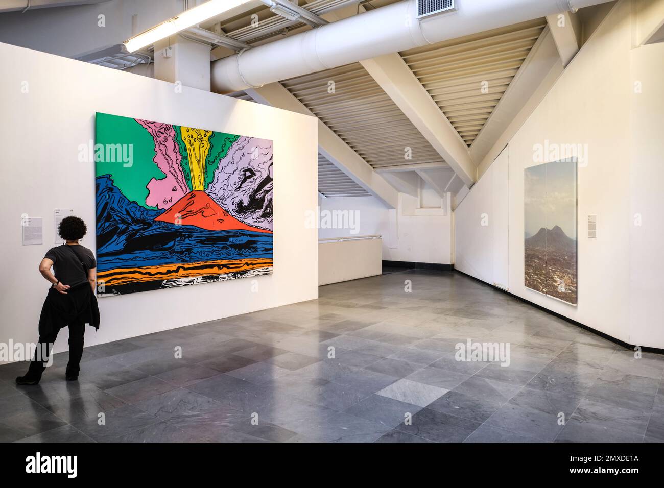 Museumsbesucher mit Andy Warhols großem, farbenfrohen Gemälde des Vulkangebirges Vesuv. Im Kunstmuseum, Museo e Real Bosco di Capodimonte, i Stockfoto