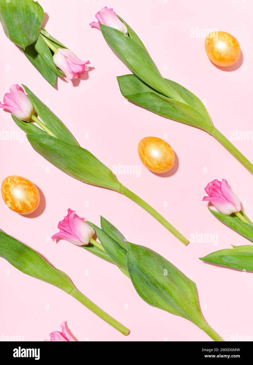 Flatlay mit einem Muster aus goldenen ostereiern und Tulpen auf pinkfarbenem Hintergrund Stockfoto