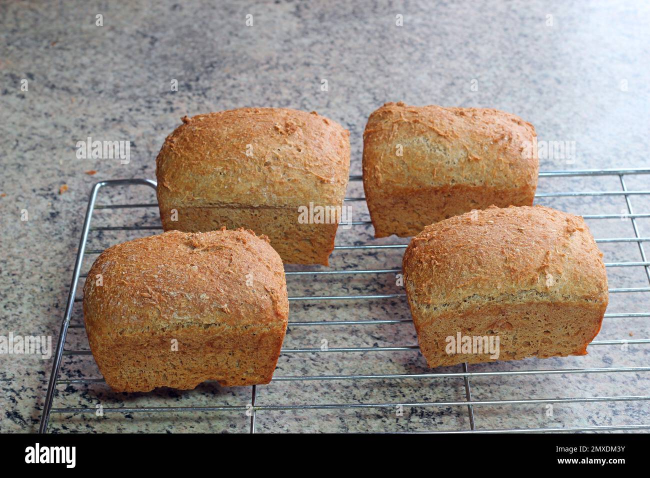 Heißes, frisch gebackenes Brot auf einer Kühlschale. Stockfoto