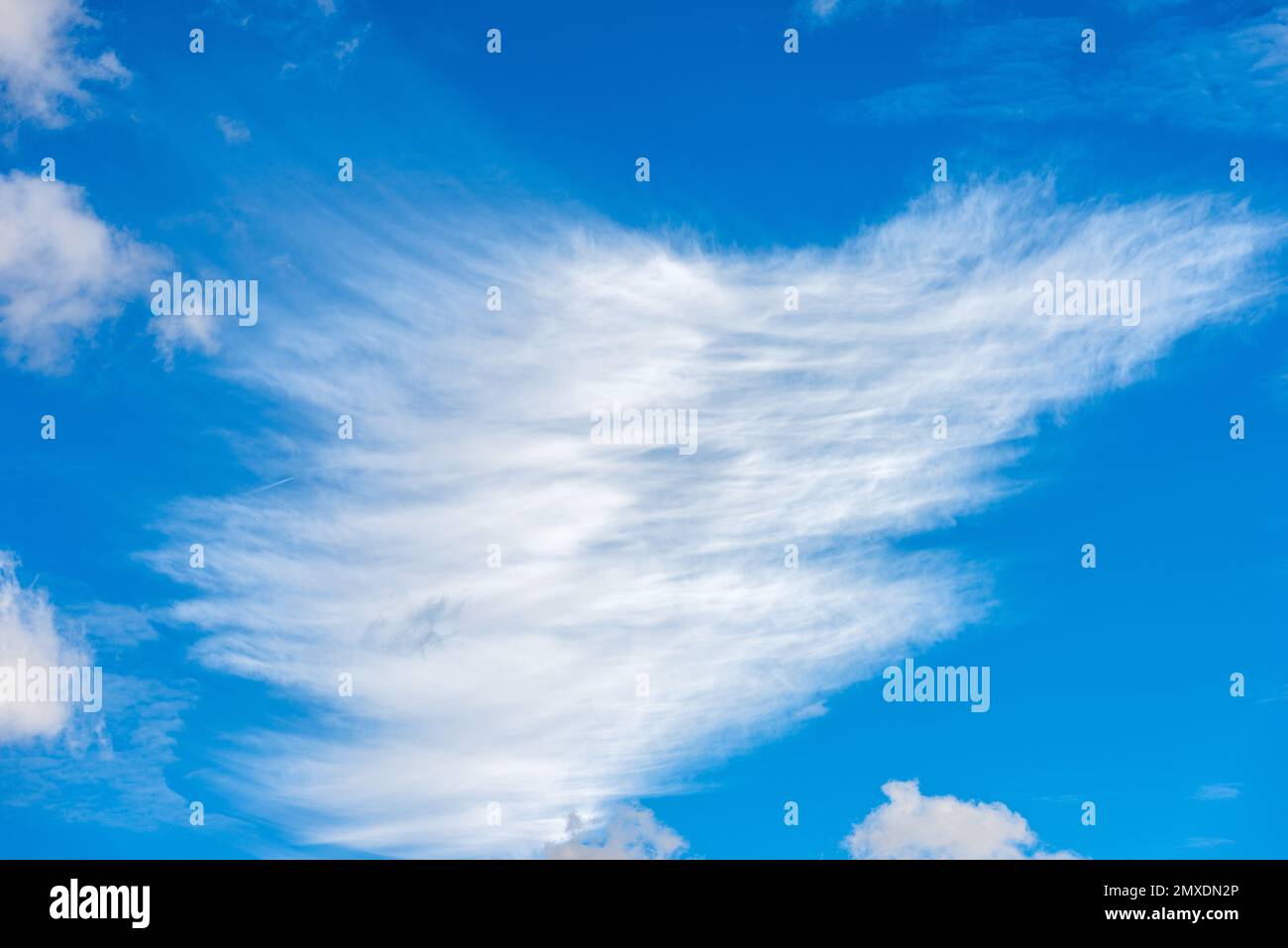 Fotografieren Sie wunderschöne Cumulus-Wolken oder Cumulonimbus und Cumulus-weiße Wolken vor einem klaren blauen Himmel. Vollformat, nur Himmel. Stockfoto