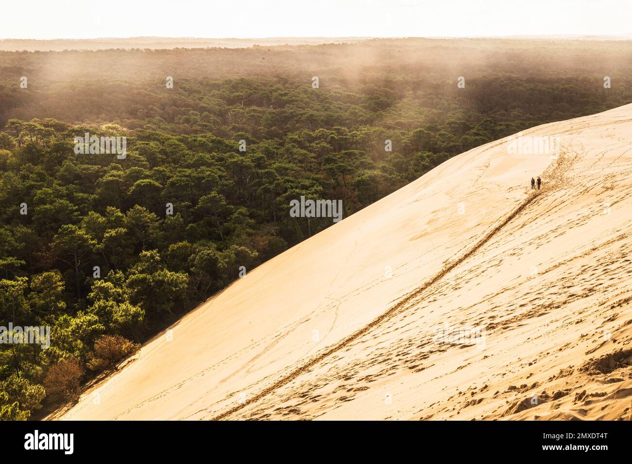 Die Düne du Pilat an der Atlantikküste von Nouvelle-Aquitaine ist mit 103 Metern der höchste Sandberg Europas im Südwesten Frankreichs Stockfoto