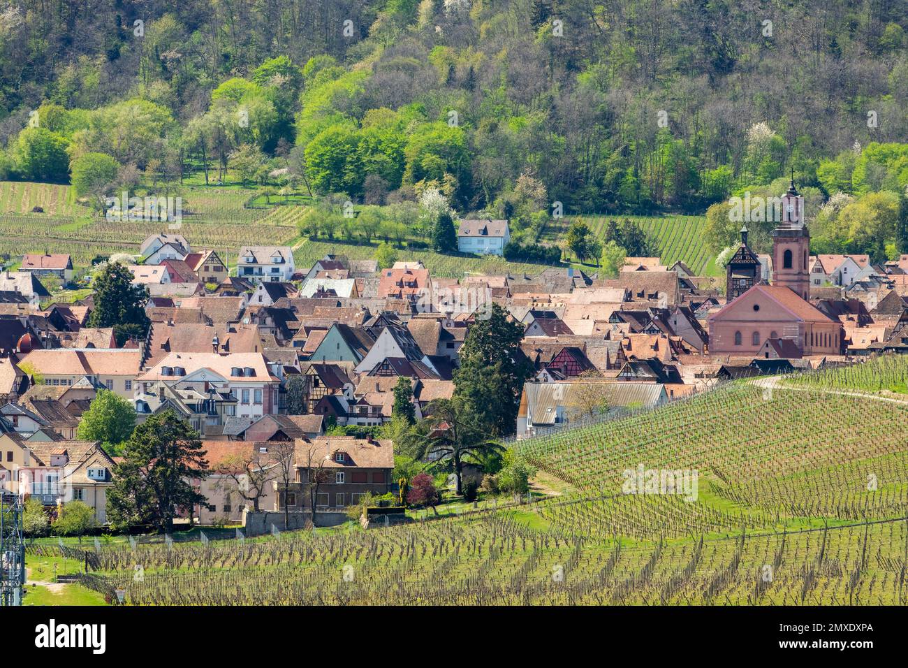 Blick auf das touristische Dorf Riquewihr an der Weinstraße im Elsass, Frankreich Stockfoto