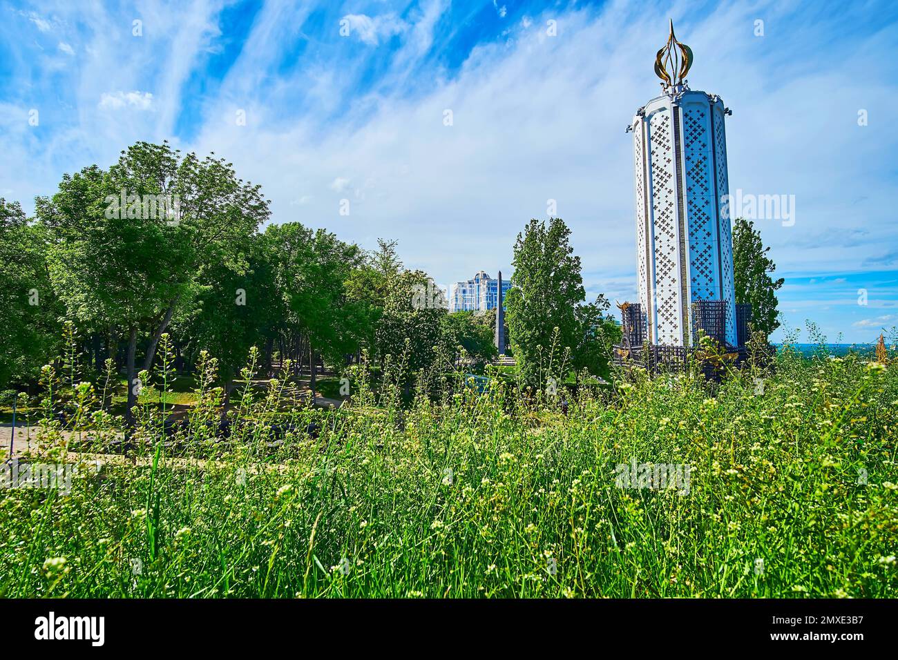 Die üppigen grünen Gräser und Wildblumen vor dem Denkmal Memory Candle Holodomor (große Hungersnot) im Hintergrund, Kiew, Ukraine Stockfoto