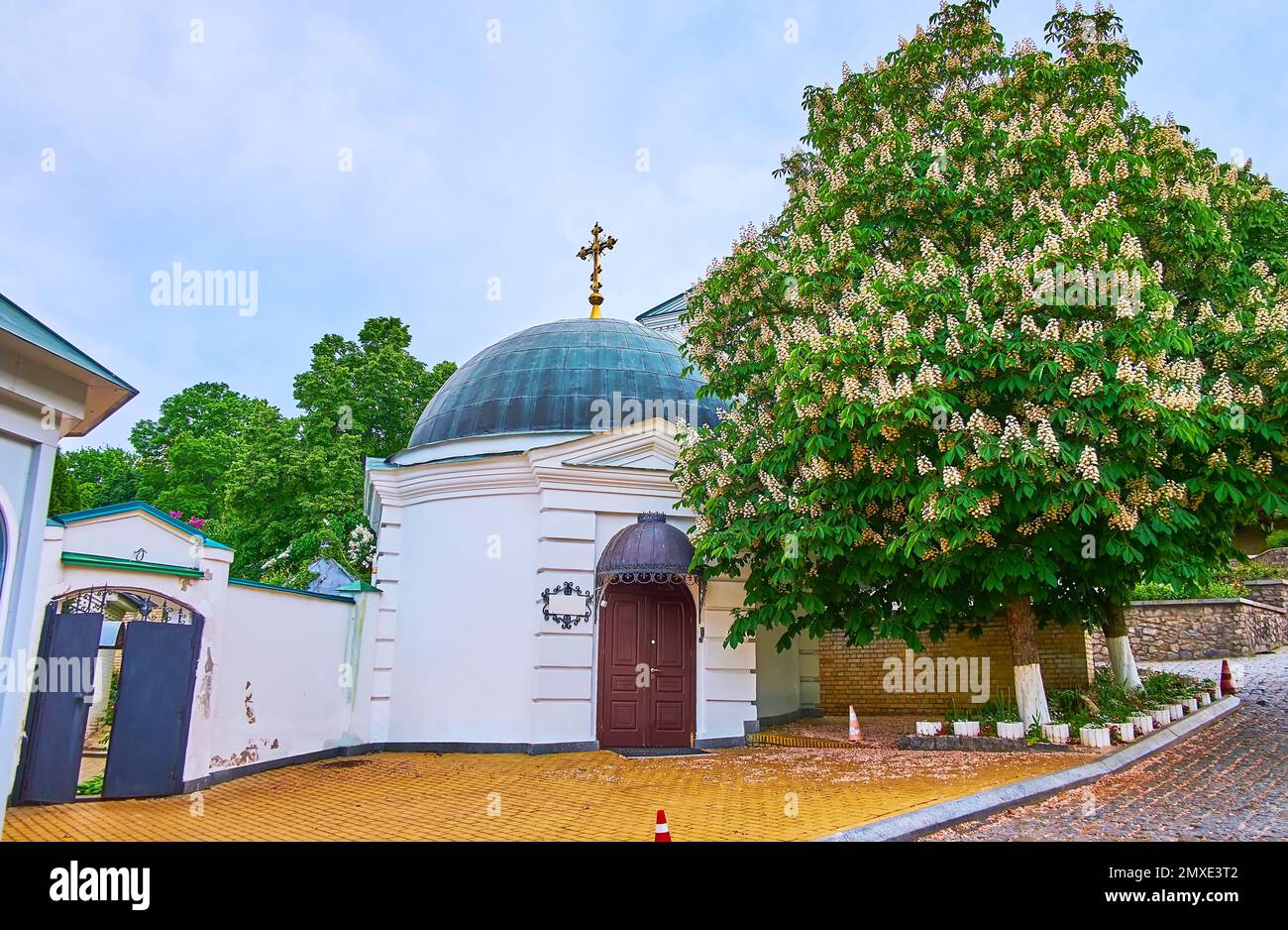 Blühender Rosskastanienbaum im Klostergebäude des Klosters Kiew Pechersk Lavra Cave, Ukraine Stockfoto