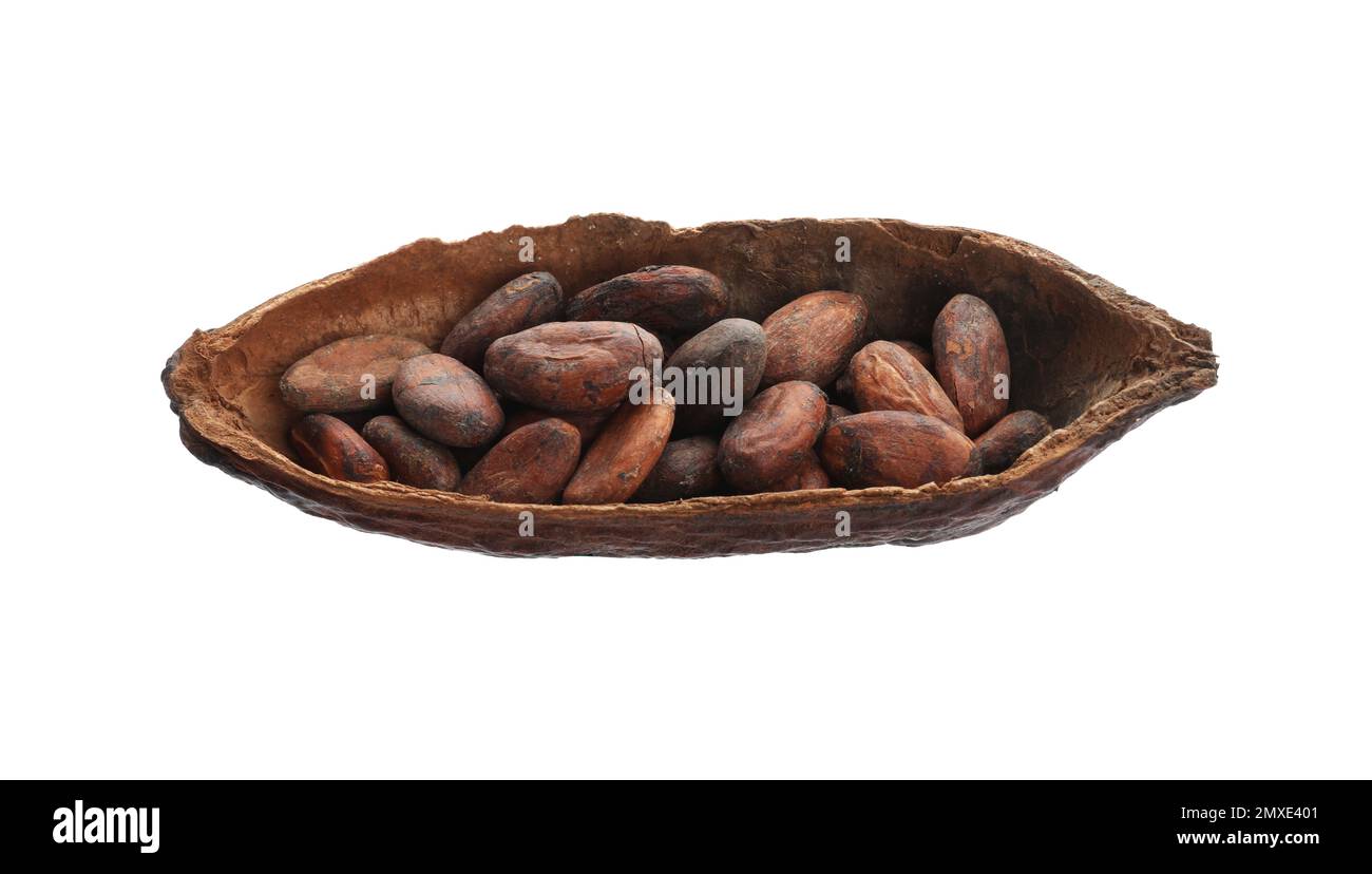 Die Hälfte des trockenen Kakao-Pads mit Bohnen, isoliert auf weiß  Stockfotografie - Alamy