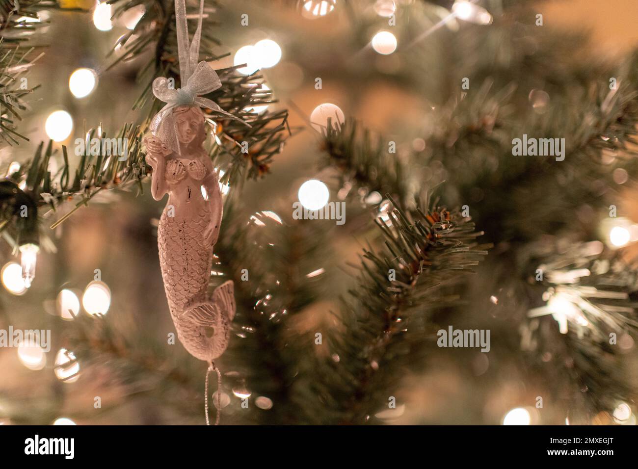 Weihnachten meerjungfrau -Fotos und -Bildmaterial in hoher Auflösung – Alamy