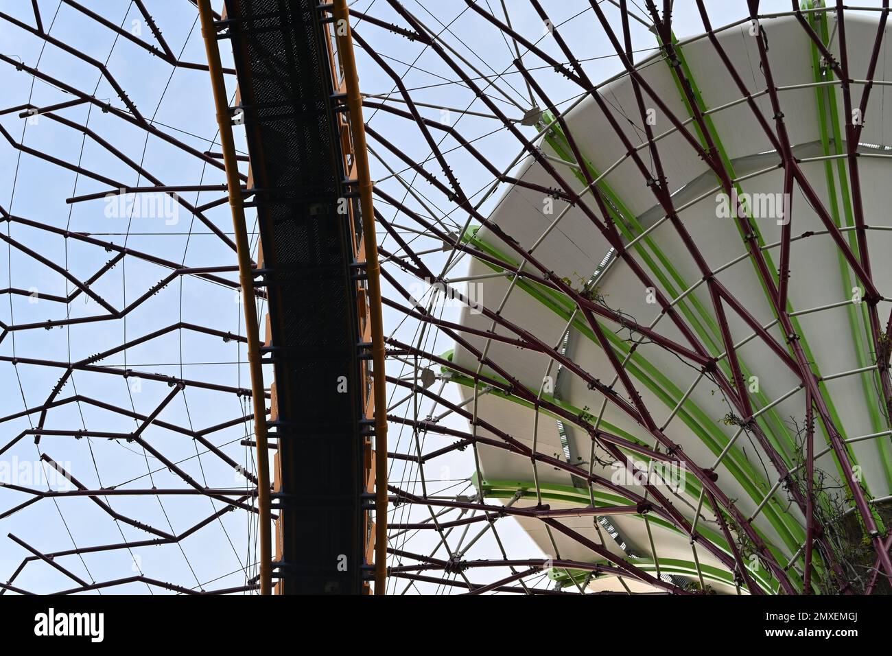 Ansicht von unten auf die Brücke, die Supertree Grove verbindet, baumähnliche Strukturen, die eine Vielzahl von Funktionen ausführen, einschließlich Pflanzen und Schattieren in Stockfoto