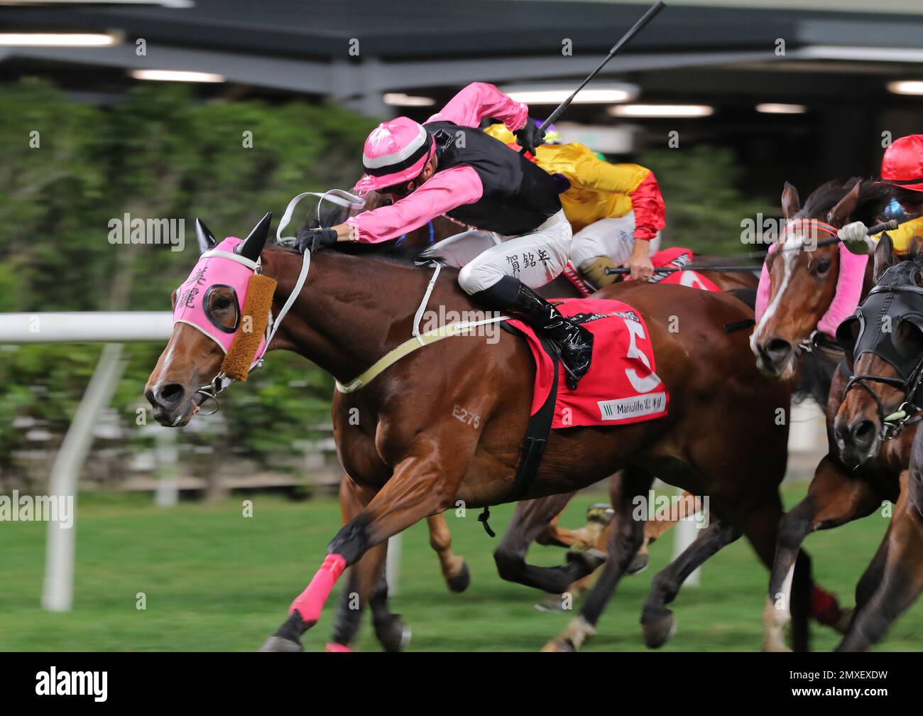 Rennen 8, YO BEAUTY (5), gefahren von Antoine Hamelin, gewann die Klasse 3 über 1200m im Happy Valley. 21DEC22 SCMP/Kenneth Kanal Stockfoto