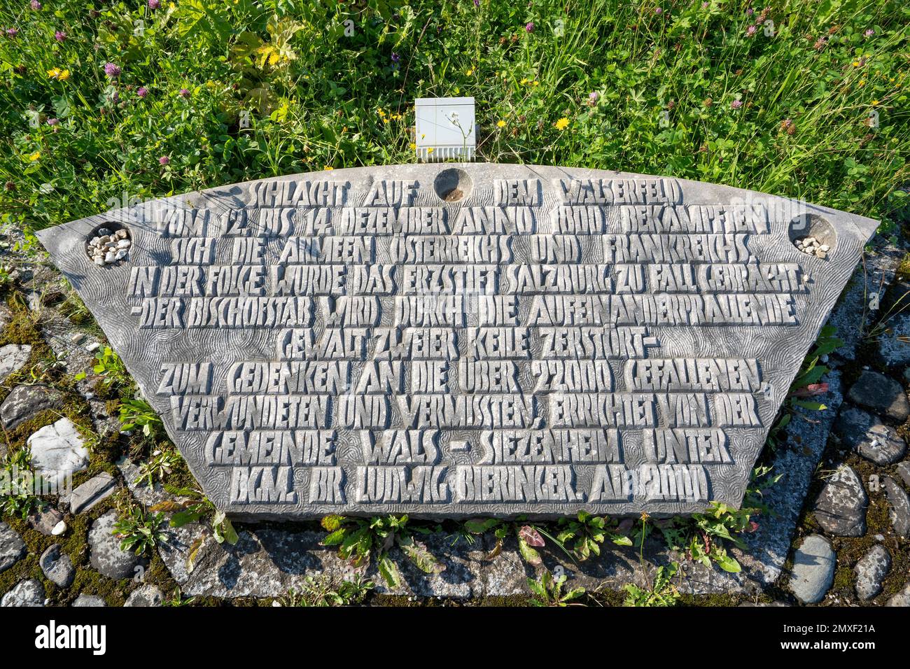 "Der ''Walser Birnbaum'' - Denkmal in der Gemeinde Wals-Siezenham in der Nähe von Salzburg , Wikipedia : , der Birnbaum auf dem Walserfeld, meist Walse Stockfoto