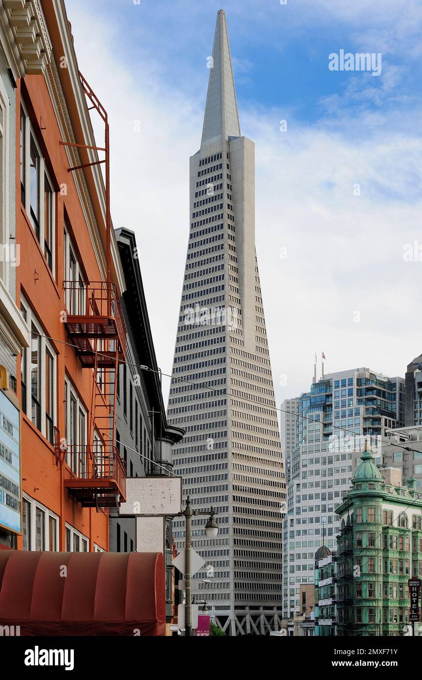 Die Transamerica Pyramid dominiert die Skyline von SF – ein modernes Wunderwerk aus elegantem Design und unternehmerischem Können im Herzen des pulsierenden Stadtzentrums Stockfoto