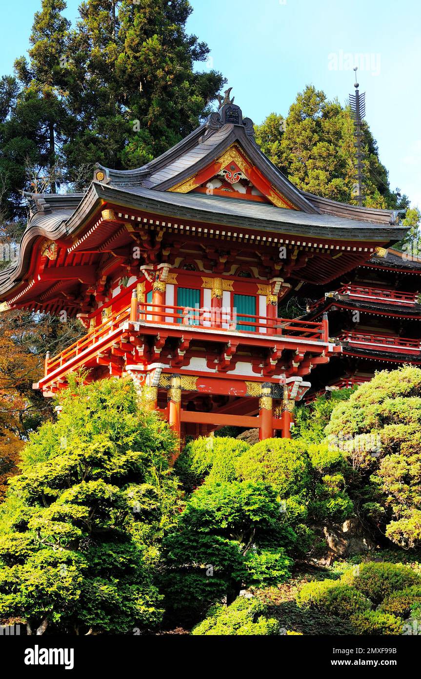 Japanischer Teegarten im Golden Gate Park in San Francisco, Kalifornien. Auch Teil des botanischen Parks von San Francisco. Stockfoto