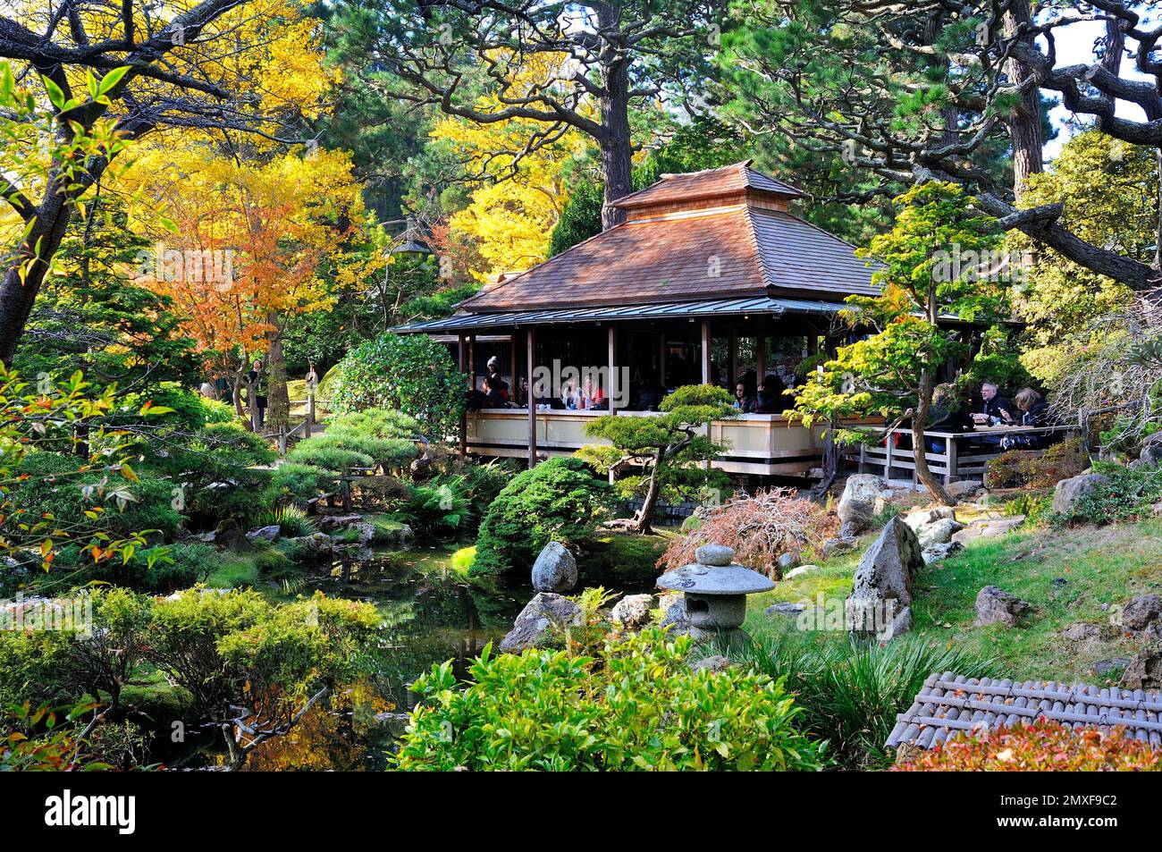 Japanischer Teegarten im Golden Gate Park in San Francisco, Kalifornien. Auch Teil des botanischen Parks von San Francisco. Stockfoto