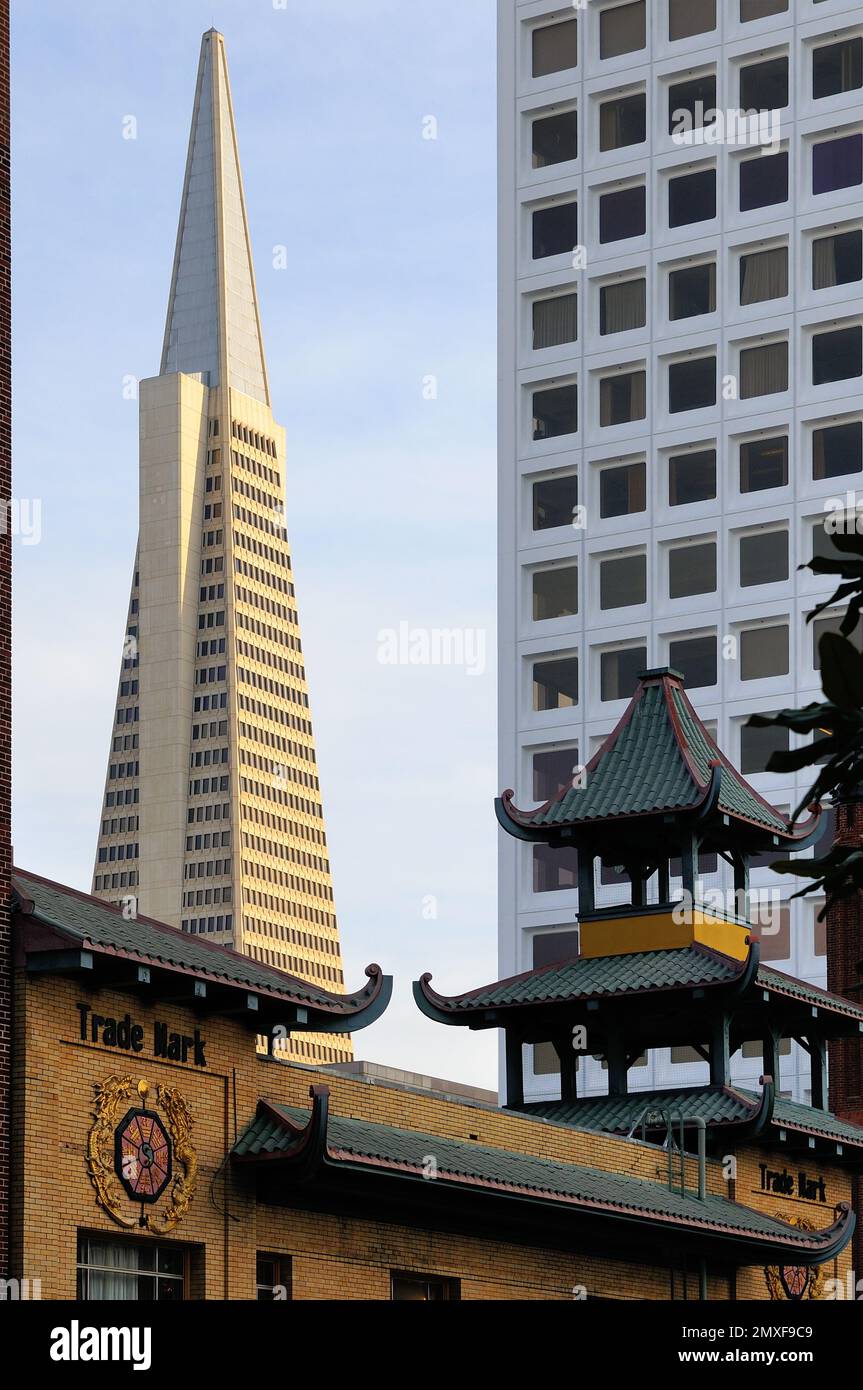 Die Transamerica Pyramid dominiert die Skyline von SF – ein modernes Wunderwerk aus elegantem Design und unternehmerischem Können im Herzen des pulsierenden Stadtzentrums Stockfoto