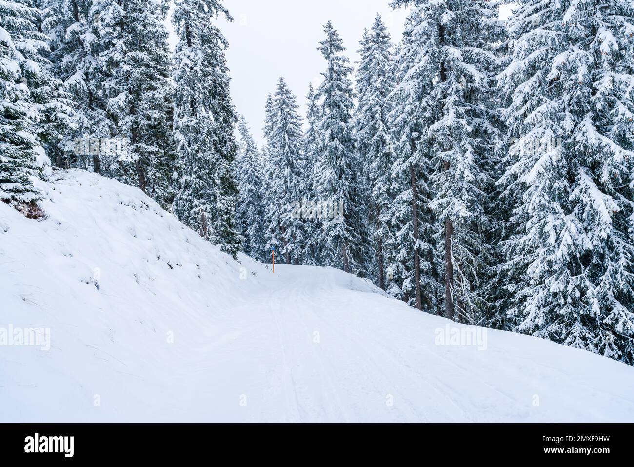Winterliche Landschaft in den österreichischen Alpen bei Jochberg. Winter in Österreich Stockfoto