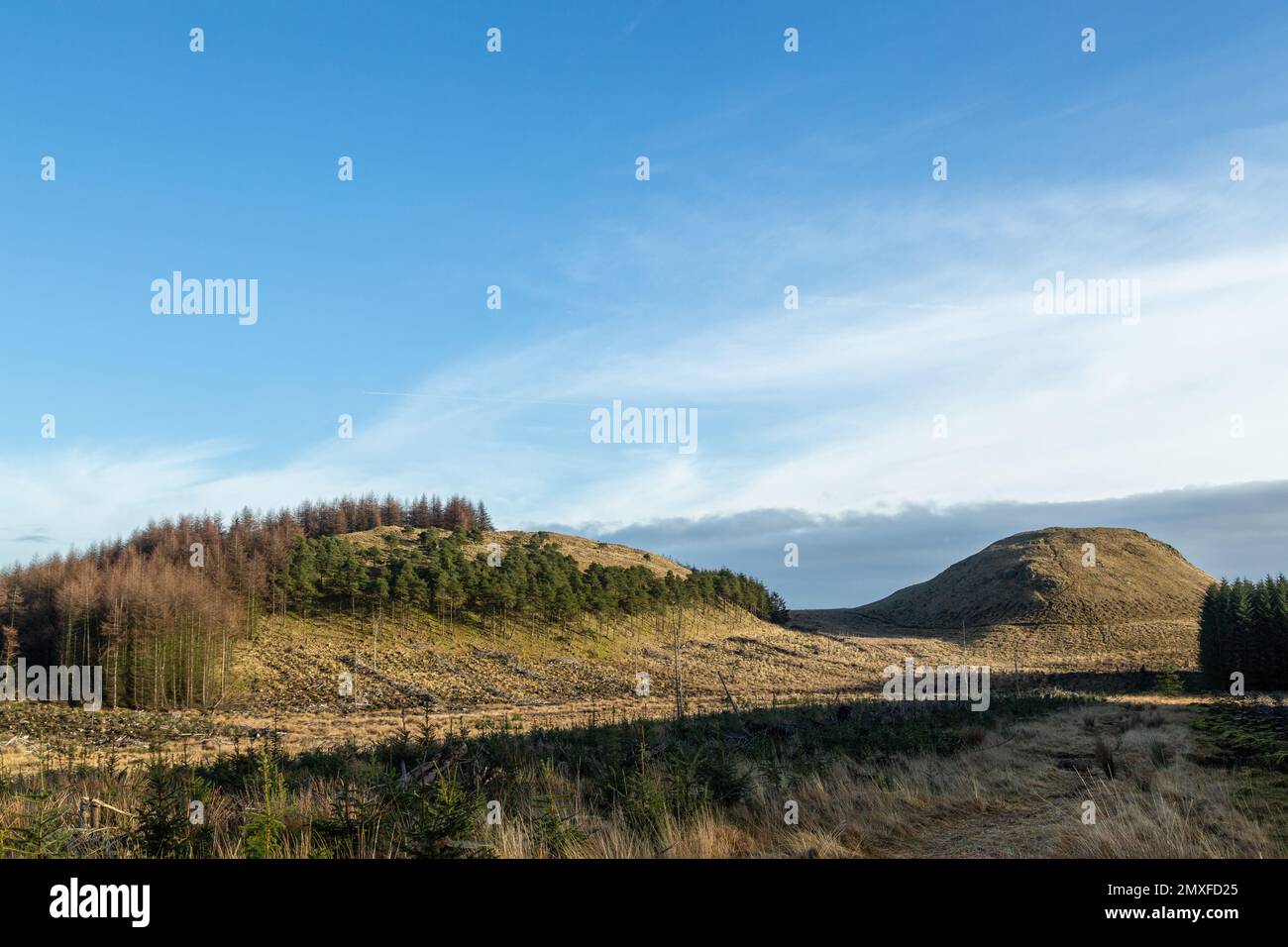 Mit Blick auf die Hügel von Innearns in den Cleish Hills, Perth und Kinross, Schottland Stockfoto