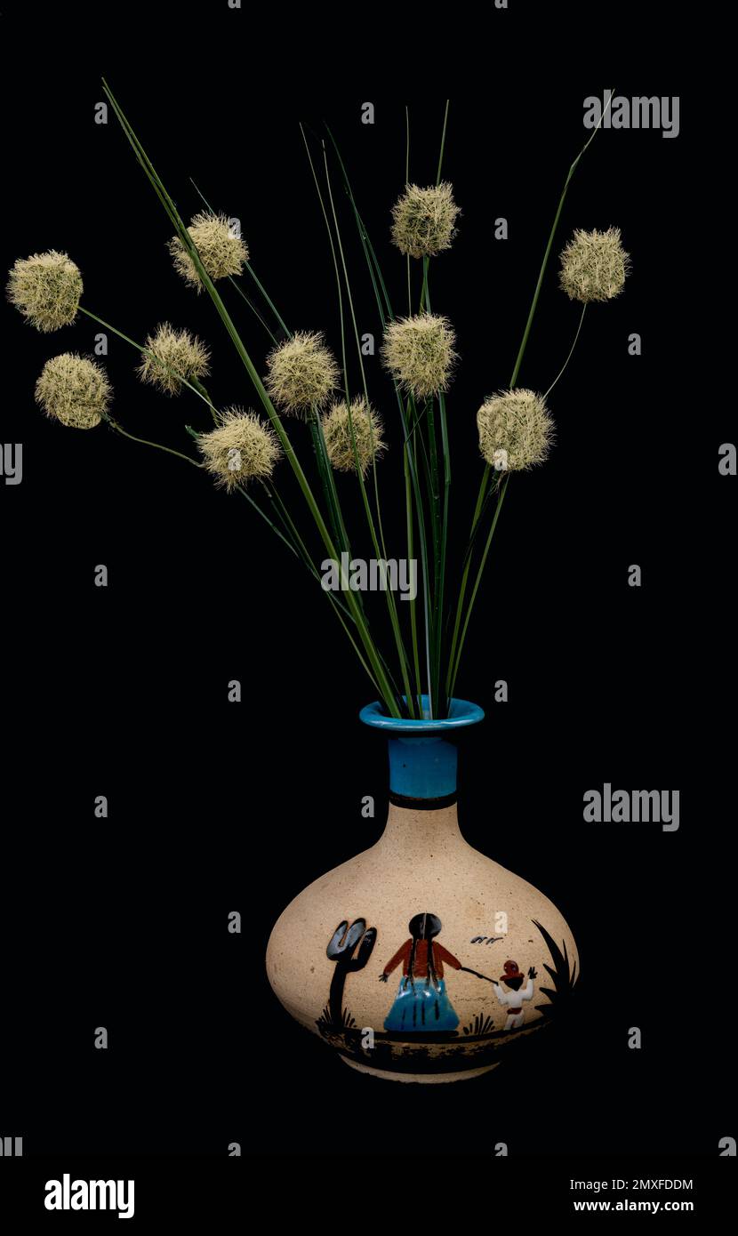 Getrocknete Pflanzen Stockfoto