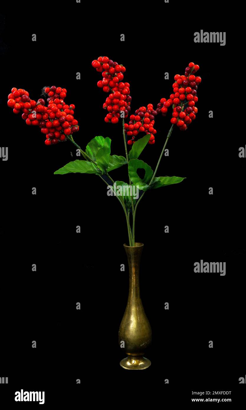 Rote Beeren Stockfoto