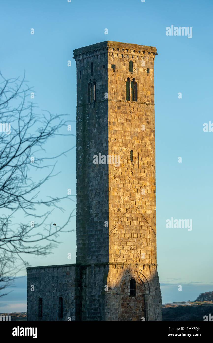 St-Regeln-Turm, St Andrews, Fife, Schottland Stockfoto