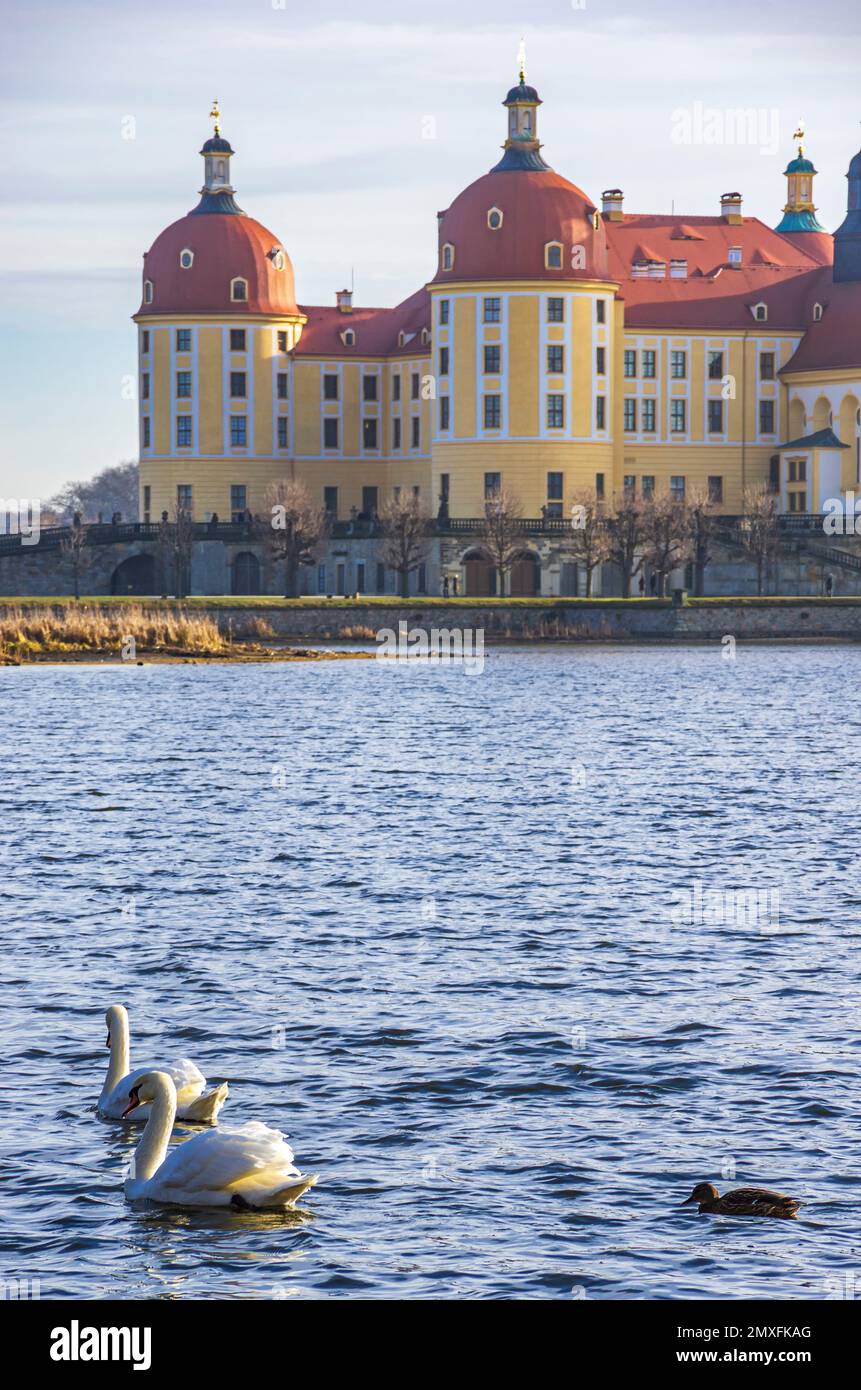 Teich mit Wasservögeln und Schloss Moritzburg in der Nähe von Dresden, Sachsen, Deutschland; von einem öffentlichen Ort. Stockfoto