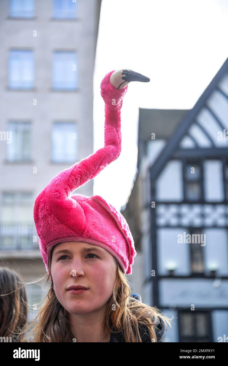 Junger Demonstrant, Ausrottungsrebellion Protest "Unite for Justice", eine Aktion, um die Alarm für das britische Justizsystem zu schlagen, Royal Courts of Justice, Lon Stockfoto